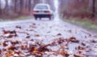 Unterschätzte Gefahr: Nasses Laub kann eine Autofahrt schnell zur Schlitterpartie machen. Foto: dpa