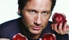 Qualittsserien wie Californication mit David Duchovny oder Dexter hatten es auch 2008 schwer. Von RTL2 mit groem Aufwand beworben, konnten sich beide beim Publikum nicht durchsetzen und blieben wie schon 24 weit hinter den Erwartungen zurck. Foto: dpa