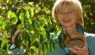 Gisela Welbers von der Neusser Eine-Welt-Initiative (Newi e.V.) steht am 8.Oktober 2006 in ihrem 'Kaffeegarten' in Neuss neben einer Kaffeepflanze und hält eine Schale mit Kaffeebohnen aus eigenem Anbau in der Hand. Bis zu fünf Kilo der Sorte Arabica ist die jährliche Ausbeute der Neusser Mini-Plantage. Foto: Horst Ossinger dpa/lnw (zu dpa/lnw-KORR: 'Primadonna im Kaffeegarten - In Neuss gedeiht bester Arabica) +++(c) dpa - Bildfunk+++
 Foto: dpa