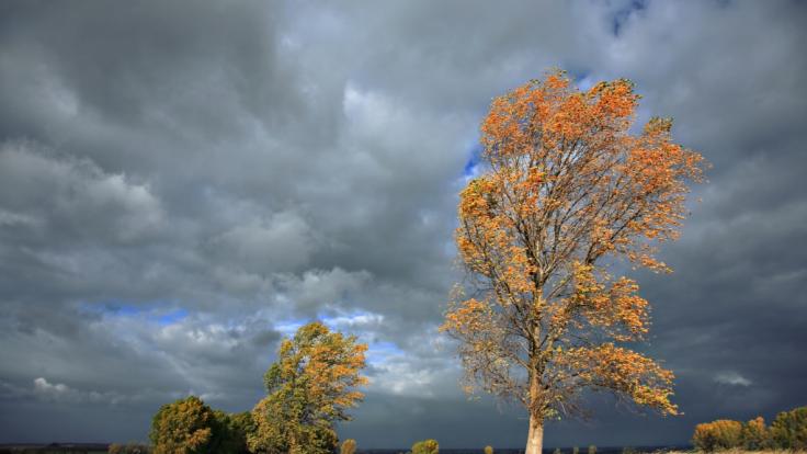Kaltfront lässt Temperaturen sinken.