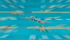Flüchtige Begegnung: Zwei Schwimmer bereiten sich während der Deutschen Meisterschaften im Schwimmen in Berlin auf ihre Wettkämpfe vor. Foto: Sebastian Kahnert Foto: dpa