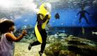 Die zweijährige Andrea beobachtet, wie eine Touristin versucht, mit den Fischen in Kontakt zu treten. Im Manila Ocean Park in der philippinischen Hauptstadt ist es möglich, sich in der Unterwasserwelt frei zu bewegen und Fische aus nächster Nähe zu beobachten. Foto: ap
