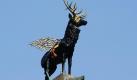 Pegasus-Hirsch: Die Hirschstatue auf dem Hirschsprung im Höllental im Schwarzwald wurde von Unbekannten schwarz angemalt und trägt nun Flügel. Foto: Patrick Seeger Foto: dpa