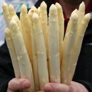 So frisch, so weiß, so lecker (Foto)
