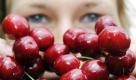 Bettina Franz, Mitarbeiterin der Fahner Obst e.G., posiert am Dienstag (14.06.11) in der Naehe von Gierstaedt im Landkreis Gotha in einer Suesskirschen-Plantage. Kirschen werden am Anfang Sommer geernt, aber die genauen Erntenzeiten sind von der verschieden Sorten abhaengig. Foto: Jens-Ulrich Koch/dapd Foto: dapd