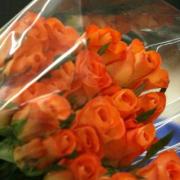 Wer die Rose ehrt (Foto)