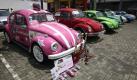 Some Volkswagen Beetle are seen on an exhibition during the commemoration of the Volkswagen Beetle World Day in Santo Domingo, Dominican Republic, 04 July 2010. EPA/ORLANDO BARRIA +++(c) dpa - Bildfunk+++

 Foto: dpa