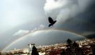 Israel Kamakawiwo'ole besingt es derzeit erfolgreich in den deutschen Charts: Diese Foto, aufgenommen in Sofia, wäre das ideale Cover für den Superhit Somewhere over the Rainbow. Foto: dpa