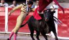 Der spanische Matador Daniel Luque malträtiert seinen ersten Bullen des Tages beim Stierkampf von Ferie San Marcos in der Arena von Aguascalientes in Mexiko. Das gewaltige Tier ist mit seinen 467 Kilogramm vermutlich kein leichter Gegner.  Foto: dpa