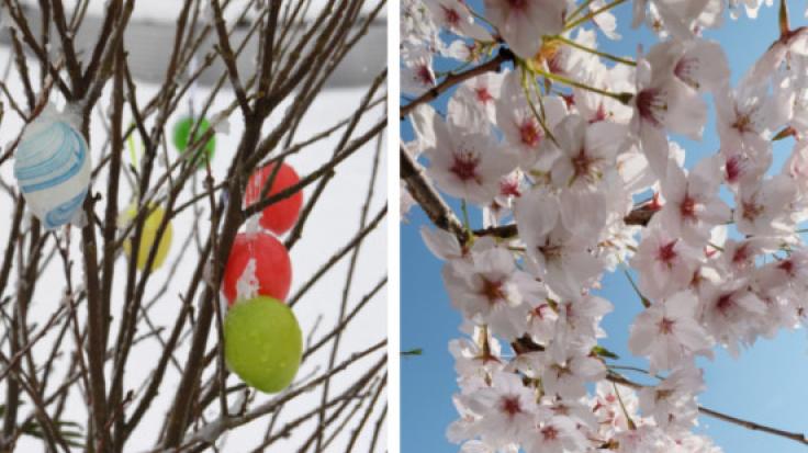 Schneefall oder Sommer-Comeback? Wie wird das Oster-Wetter 2019?