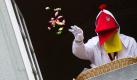 Geglückte Eroberung: Das Wappentier der Narrenzunft in Meersburg, das Schnabelgiere, wirft bei der Erstürmung des Rathauses Süßigkeiten aus dem Fenster. Foto: Tobias Kleinschmidt Foto: dpa