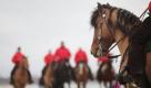 Reiter reiten während des 2. Warnemünder Wintervergnügens mit ihren Pferden am Strand von Warnemünde entlang. Das Warnemünder Wintervergnügen ist der touristische Auftakt der Saison. Zur Erstauflage 2010 hatten sich Tausende Besucher von dem zweitägigen Spektakel begeistern lassen.
 Foto: ddp