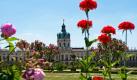 Vor strahlend blauem Himmel blühen in Berlin Blumen vor dem Schloss Charlottenburg. Die Tageshöchstwerte liegen in der Hauptstadt bei bis zu 28 Grad Foto: dpa