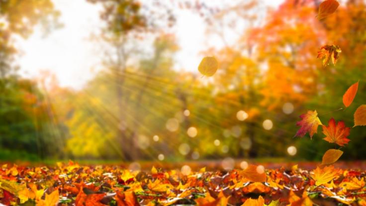Steht uns ein heißer Herbst bevor?