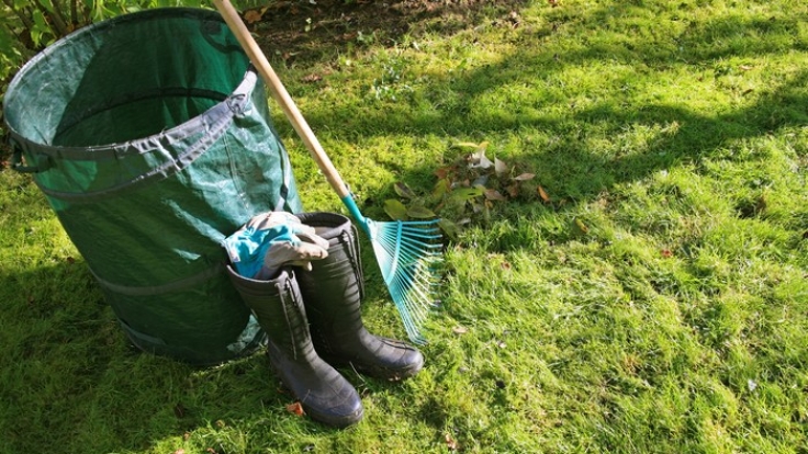 Zehn Gründe Warum Der Garten Der Beste Arzt Ist News De