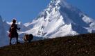 Seele baumeln lassen: Mancherorts in Deutschland ist der langersehnte Frühling bereits angekommen - so wie im oberbayerischen Berchtesgaden. Da lässt es sich gut mit Hund und Wanderstöckchen der Kulisse des Watzmann wandern. Foto: Peter Kneffel Foto: dpa