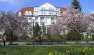 Bad Mergentheim 609.JPG Foto: 