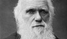 Auch Charles Darwin, britischer Naturforscher und Mitbegründer der Evolutionstheorie, soll gestottert haben. Ebenso wie sein Großvater. Foto: dpa