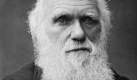 Der Wissenschaftler Charles Darwin glaubte zwar an die Macht der Stärkeren, aber er selber terrorisierte seine Familie so sehr mit seinen ständigen Schwächeanfällen, dass seine sechs Kinder ebenfalls zu ausgeprägten Hypochondern wurden. Foto: dpa