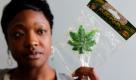 Felicia Williams aus Buffalo hält einen «Pot Pop» in der Hand. Die Süßigkeit, die aussieht wie ein Hanfblatt, bewirkt beim Konsumenten zwar keinen Rauschzustand, Anti-Drogen Aktivisten befürchten jedoch die weitere Herabsetzung der Hemmschwelle im Umgang mit der Droge.
  Foto: dapd