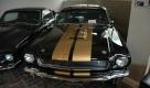 Natürlich darf auch ein Shelby GT 350 in schwarz-goldener Hertz-Lackierung nicht in der Kollektion fehlen. Der Autovermieter Hertz bestellte in den 60er Jahren eine Reihe dieser Fahrzeuge und lackierte sie in Firmenfarben.  Foto: press-inform