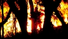 Ein Feuerwehrmann überwacht die anhaltenden Brände in Nord Rockhampton, Australien. Inzwischen treffen erste Feuerwehrleute aus Queensland ein, um den lokalen Mannschaften nach 23 Tagen Kampf gegen das Feuer eine Pause zu ermöglichen. Foto: dpa