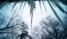 Eiszapfen hängen von einem Haus bei Washington. Die Region leidet im Moment unter immer neuen Schneestürmen. Foto: ap