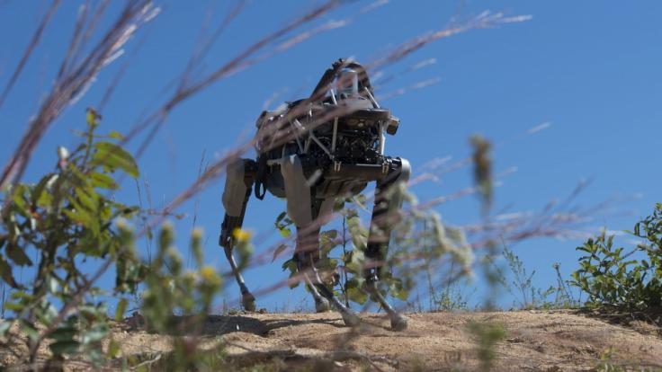 Der vierbeinige Roboter