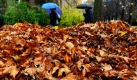 Passanten mit Regenschirmen laufen in Stuttgart an verwelktem Laub vorbei. Das feuchte, aber milde Wetter soll im Südwesten Deutschlands auch in den kommenden Tagen anhalten.
 Foto: ap