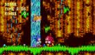 Hier zeigt sich eines der größten Probleme der Klassiker-Sammlung. Weil die Grafik bei der Portierung für den Nintendo DS nicht vernünftig angepasst wurde, zerfassert die Landschaft in wilde, bunte Punkte. Das stößt gerade den Fans des 2D-Sonic sauer auf. Foto: Sega