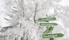 Ein schneebedeckter Baumstamm liegt auf einer Waldlichtung bei Gleichamberg in der Nähe von Hildburghausen. Der Winter mit Schnee und Eisglaette macht in den nächsten Tagen zumindest eine Pause. Mehrere Tiefdruckgebiete bringen wärmere Luft nach Deutschland, wie der Deutsche Wetterdienst in Offenbach mitteilte. Dabei steigen die Temperaturen teilweise in den zweistelligen Bereich. Nur in den Bergen bleibt es frostig. Foto: ddp