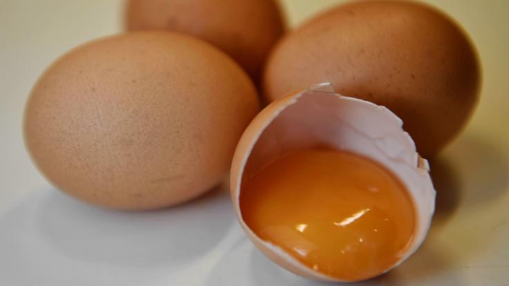 Erneut werden Eier wegen erhöhter Salmonellenbelastung zurückgerufen.
