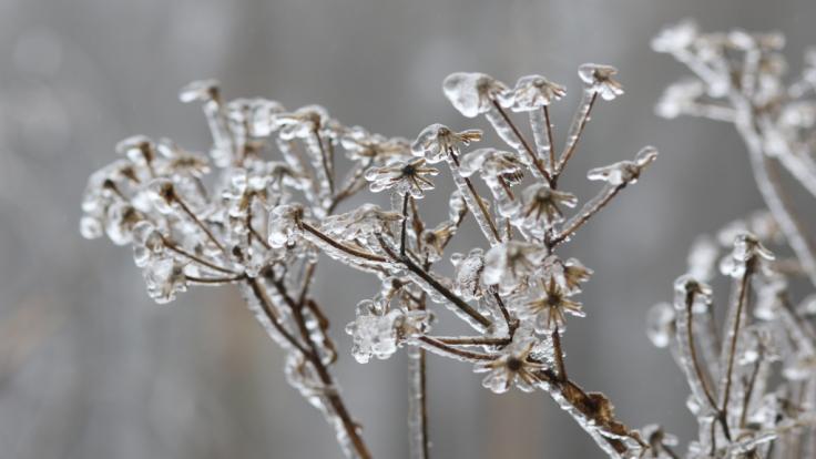Stehen Deutschland weiße Weihnachten 2018 bevor - oder bleibt der Schnee im Dezember aus?