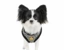 Hunde-Acccessoires