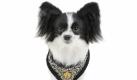 ...das den Druck, den das Halsband ausübt, auf den Körper verteilt. Dieser possierliche Hund trägt das goldene Koko von Knebel-Wappen stolz. Weitaus teurer ist das nächste Accessoire... Foto: Koko von Knebel