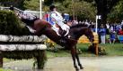 Gold-Pferd Sam von Vielseitigkeits-Weltmeister Michael Jung ist nach Angaben des Reiters ohne sein Wissen aus der Pferdebox verschwunden. Jung wirft der aus Bayern stammenden Mehrheitsbesitzerin Sabine Kreuter (60 Prozent) vor, den zehnjährigen Wallach am 8. November abgeholt zu haben. Ich bin vorher nicht informiert worden. Die Frau Kreuter muss uns abgepasst haben, sagte Jung der Nachrichtenagentur dpa. Foto: dpa