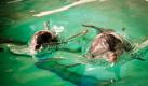 Der Duisburger Zoo freut sich über dreifachen Nachwuchs bei den Delfinen. Die Jungtiere seien nacheinander zwischen Ende August und Anfang September zur Welt gekommen und werden von den Muttertieren vorbildlich versorgt, teilte der Zoo mit. Foto: dapd