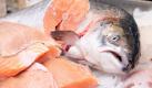 Fisch gehört zu einer ausgewogenen Ernährung. Er ist reich an Vitaminen und enthält wichtige Mineralstoffe sowie alle lebensnotwendigen Aminosäuren. (Foto: Remmers/dpa/tmn) Foto: dpa