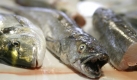 Weitere Vitamin-D-Lieferanten sind Fisch wie Hering, Makrele oder Thunfisch sowie Eigelb und mit Vitamin D angereicherte Margarine. Es kann sinnvoll sein, im Alter Vitamin-D-Präparate als Nahrungsergänzung einzusetzen - allerdings nur in Absprache mit dem Arzt.  Foto: dpa