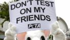An activist from the People for The Ethical Treatment of Animals (PETA), dressed as a rat, holds a placard during a protest against plans by Vivo Bio Tech, an Indian bio-tech company to build an animal testing laboratory in Malaysia outside the High Commission of India in Kuala Lumpur, Malaysia, Wednesday, June 9, 2010. (AP Photo/Lai Seng Sin) 
 Foto: ap