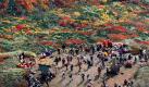 Wanderer genießen die Aussicht auf das Herbstlaub am Berg Kurikoma im Nordosten von Japan. Foto: dapd