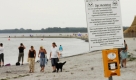 11_Ein Schild weist am Samstag (08.07.06) am Strand von Priwall bei Travemuende auf den Beginn des Hundestrandes hin. a
Foto: Lija Peter/ ddp  Foto: ddp