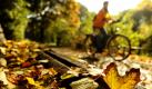 Eine Radfahrerin fährt in Berlin am Landwehrkanal an einer mit Herbstlaub bedeckten Bank vorbei.
 Foto: ddp