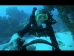 Trailer_Die_Bucht (Foto)