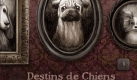 Gemeinsam mit Sébastien Perez, mit dem er auch an Lisbeth arbeitete, veröffentlichte er das Buch über Hunde Destins de Chiens. Benjamin Lacombe hat selbst einen Hund namens Virgile, der sich ab und an in seine Bücher einschleicht. Foto: Benjamin Lacombe