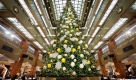 25.000 LEDs leuchten an diesem japanischen Weihnachtsbaum. Betrieben wird die Beleuchtung an dem 15 Meter hohen Baum mit Windkraft. Foto: ap