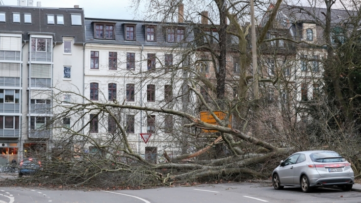 ExtremWetter im Rückblick 8 Tote! Sturm "Friederike