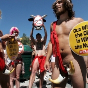 Sanfermines Pamplona Peta (Foto)
