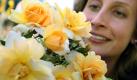 Eine Besucherin des Baden-Badener Rosengartens Beutig betrachtet am Dienstag (19.06.2007) eine orangegelbe Floribunda Rose mit weißem Hauch des Züchters Bernard Sauvageot aus Frankreich. Die Rose mit dem Namen Alix de Vergy soll am Dienstag (19.06.2007) beim 55. Internationalen Rosenneuheiten-Wettbewerb zur schönsten Rose des Jahres gekürt werden. Beim diesjährigen Wettbewerb sind nach Veranstalterangaben 29 Züchter aus 13 Ländern mit insgesamt 102 Rosenneuheiten vertreten. Foto: Uli Deck dpa/lsw (zu lsw vom 19.06.2007) SPERRFRIST DIENSTAGABEND 19.06.2007 19.30 UHR +++(c) dpa - Bildfunk+++ Foto: dpa