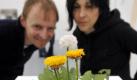 Besucher betrachten in Düsseldorf im Museum Kunst Palast auf der Großen Kunstausstellung NRW Düsseldorf das Werk Löwenzahn - Taraxacum officinale der Künstlerin Ilka Sulten. Die Ausstellung zeigt von Sonntag bis zum 14. Maerz rund 300 Werke von 157 Kuenstlern aus den Bereichen Malerei, Graphik, Plastik, Objekt, Installation, Photo und Video. Foto: ddp